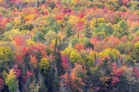 Vermont Fall Colors Photo Workshop