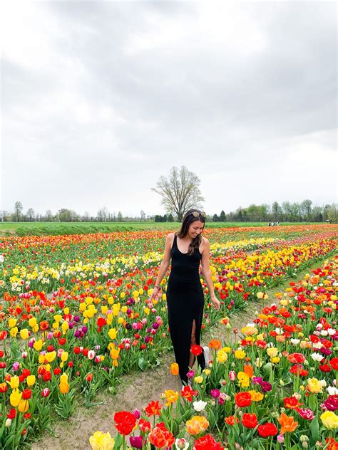 Tulip Time in Holland, MI - Party of Alyssa Matt