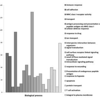 Centenarians characteristic genes grouped in terms of biological ...