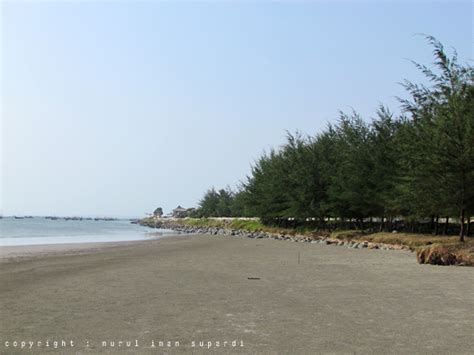 Gallery of Bengkulu - Indonesia: Photo Gallery of Pantai Panjang Beach ...