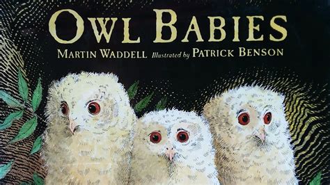 Owl Babies / Read Aloud Storybook / Owl Books Read Aloud - YouTube