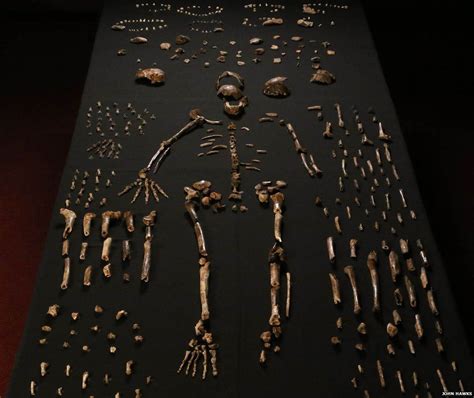 Sacerdotus: Homo Naledi Burial Ground Discovered