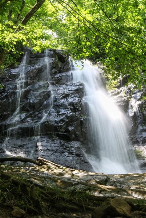 Waterfall Hikes in Shenandoah National Park - Travel. Experience. Live.