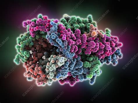 MscL ion channel protein structure - Stock Image - C014/7694 - Science ...