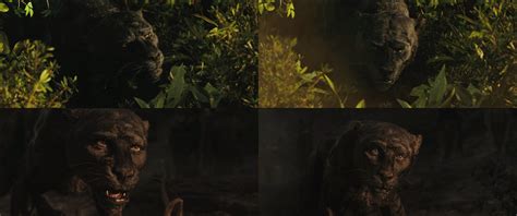 Mowgli-Bagheera Montage 1 by GiuseppeDiRosso on DeviantArt