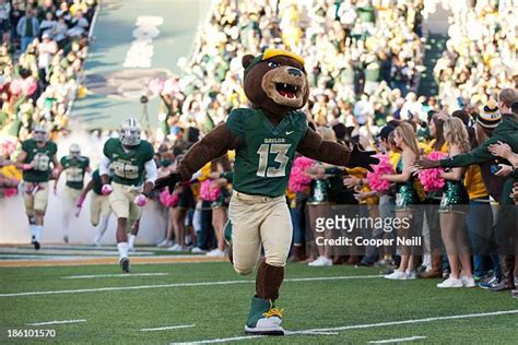 59 Baylor Mascot Bruiser Stock Photos, High-Res Pictures, and Images ...