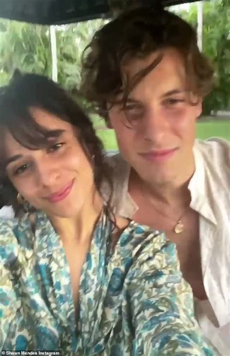 Shawn Mendes and Camila Cabello 'learn a suspect has been arrested for home burglary' | Daily ...