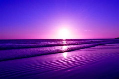 Purple Sunset Images – Browse 247,999 Stock Photos, Vectors, and Video ...