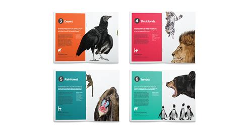 Chester Zoo Rebrand | Behance