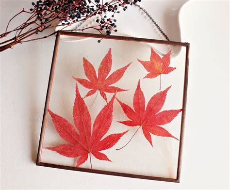 Maple leaves art Real red japanese maple leaf Rustic fall | Etsy