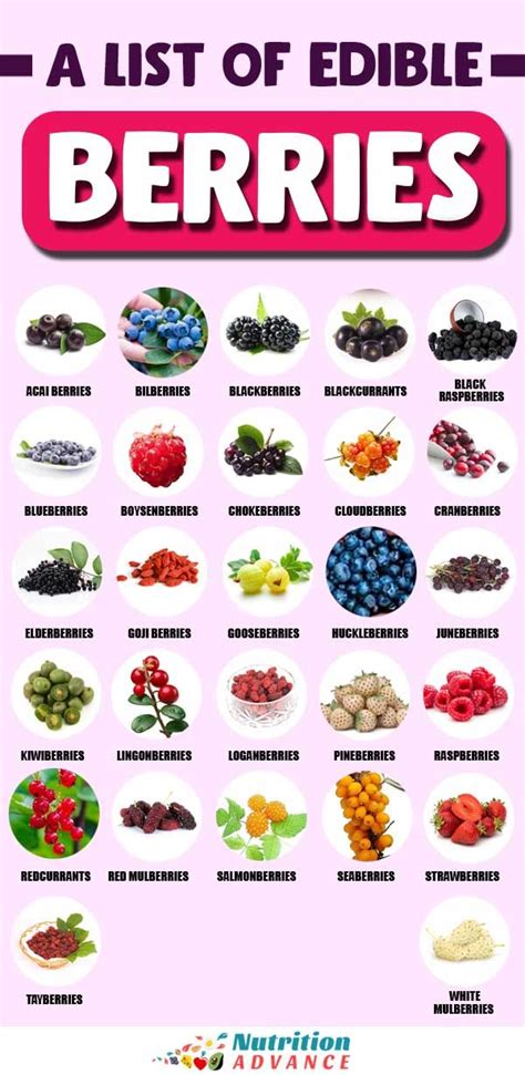 27 Different Types of Berries To Discover | Types of berries, Nutrition, Nutrition healthy eating