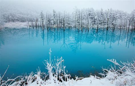 🔥 [10+] Winter Lakeside Wallpapers | WallpaperSafari