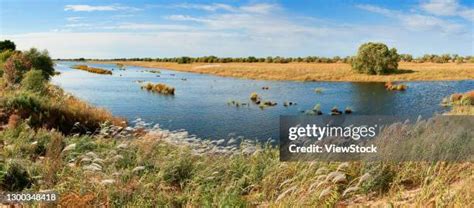 Bolshoy Ussuriysky Island Photos and Premium High Res Pictures - Getty ...