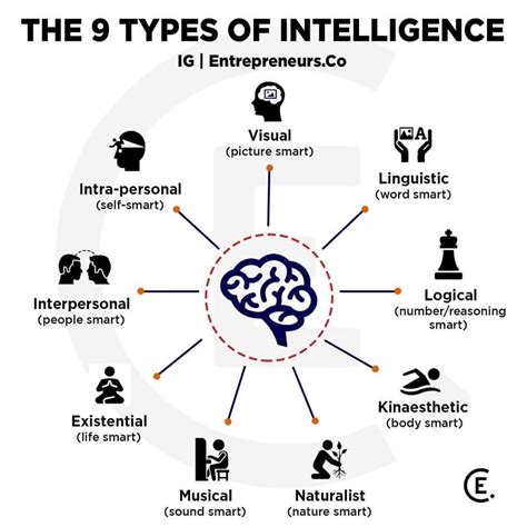 THE 9 TYPES OF INTELLIGENCE! | Types of intelligence, Interpersonal ...