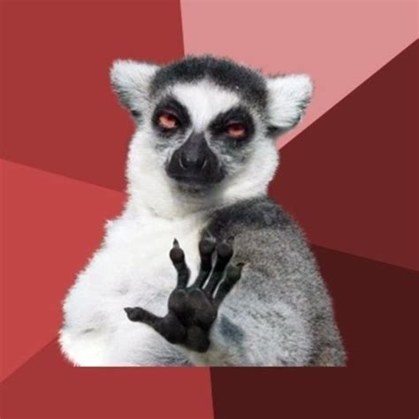 Chill Out Lemur Memes - Imgflip