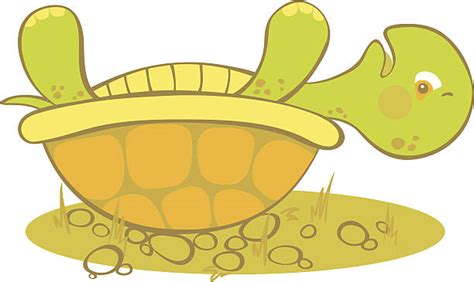 Sad Turtle Illustrations, Royalty-Free Vector Graphics & Clip Art - iStock