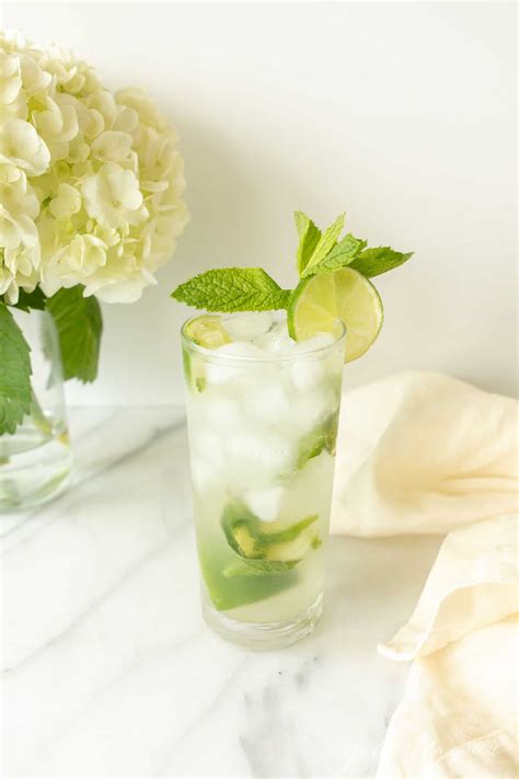 The Best Vodka Mojito | Julie Blanner