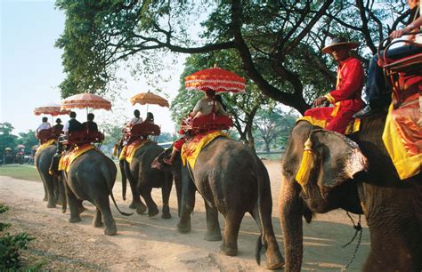 10 Reasons Why We Need to Stop Riding Elephants in Thailand ...