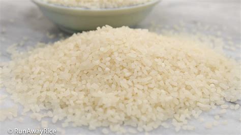 Broken Rice (Com Tam) - What Is It? - RunAwayRice