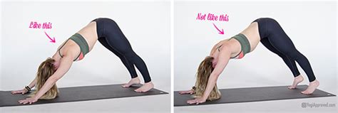 Practice Downward Dog and Plank Pose Correctly | YouAligned