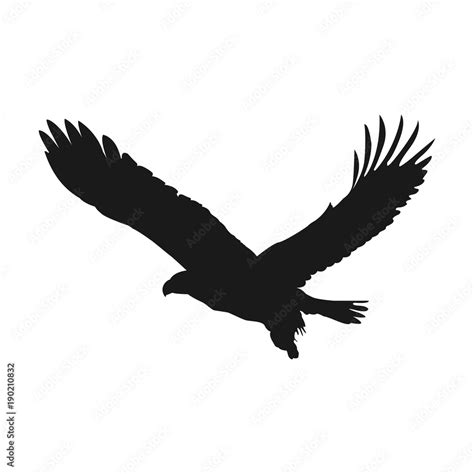 flying eagle vector illustration black silhouette Stock Vector | Adobe ...