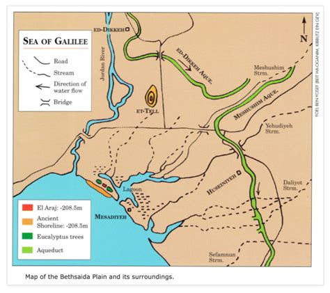 Israel is Real 2019.4: Bethsaida, Capernaum, and Chorazin