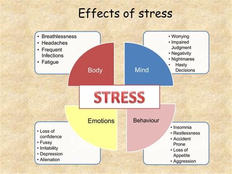 120. causes and effects of stress