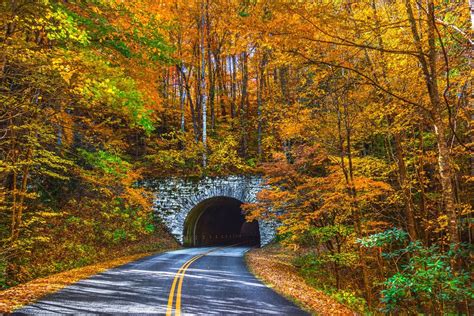 🍂 10 best destinations to see fall foliage in 2020