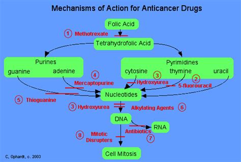 PHARMACOLOGY: Anti-Cancer Drugs II