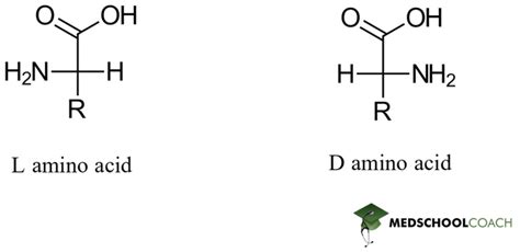 Amino Acid Configuration and Structure – MCAT Biochemistry | MedSchoolCoach