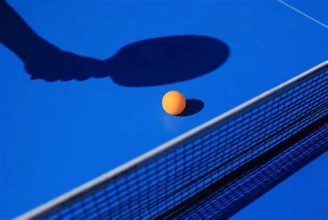 Selecting the Perfect Table Tennis Racket for Your Game Types of Table ...