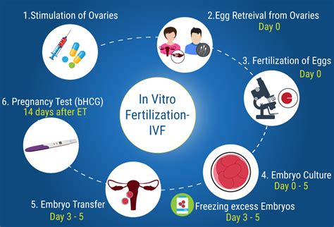 What is IVF? Success rate of IVF ? Cost of IVF Treatment