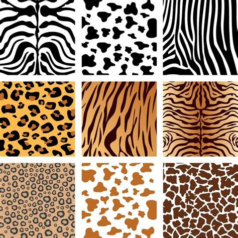 Animal Skin Texture