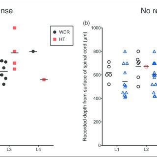 Effects of intrathecal morphine and naloxone on mechanical hyperalgesia... | Download Scientific ...