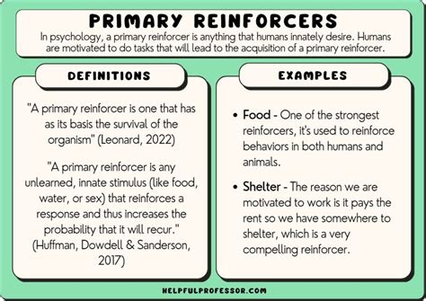 15 Primary Reinforcer Examples (2024)