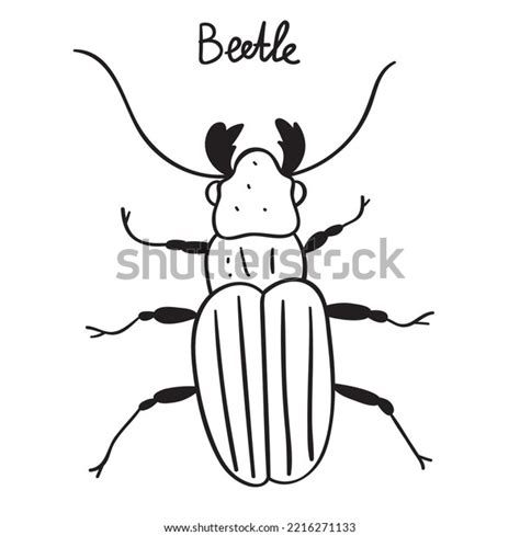 Beetle Outline Illustration Vector Graphic Design Stock Vector (Royalty Free) 2216271133 ...