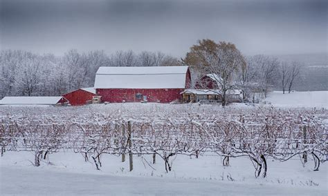 A Finger Lakes Winter | This Week in Photos | HWS Colleges