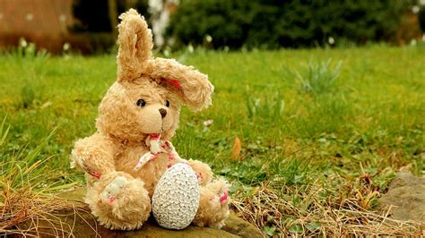 Free download | HD wallpaper: brown rabbit plush toy, hare, soft toy, fabric, stuffed animal ...