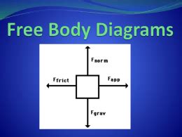 Free Body Diagrams Worksheet