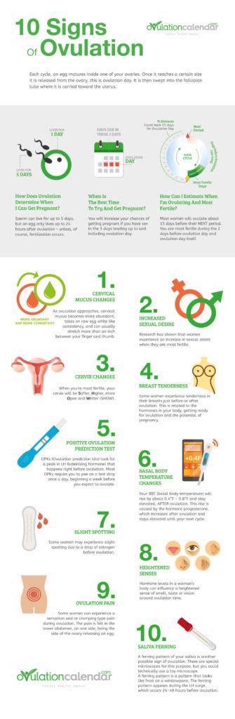 12 Somewhat Surprising Signs of Ovulation | Eastern Therapies