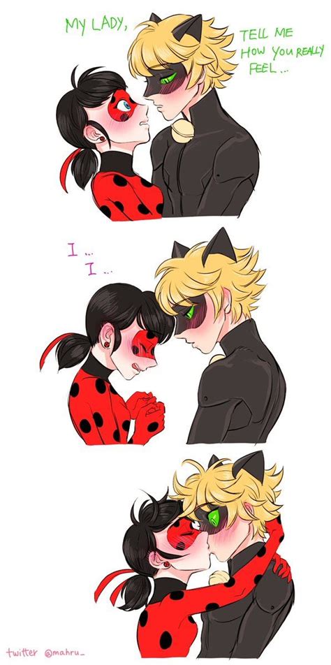 Miraculous Ladybug - Adrien Agreste x Marinette Dupain-Cheng - Ladynoir Ladybug E Catnoir ...