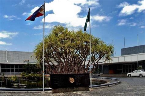 Fact check: Who established IRRI? | Philstar.com