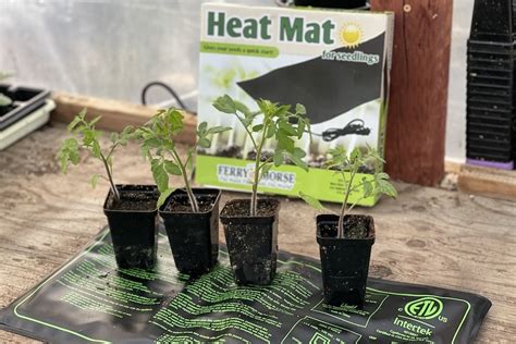 Seedling Heat Mat — San Diego Seed Company