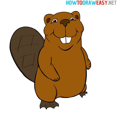 How to Draw a Cartoon Beaver - How to Draw Easy