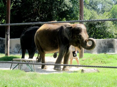 World of the Wilsons: Baton Rouge Zoo