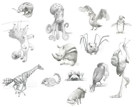 Mixed Animal Set - Animal Sketches