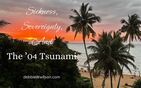 Sickness, Sovereignty, and the 2004 Tsunami - Debbie W. Wilson