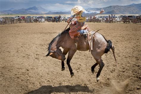 The Basics of Training a Horse