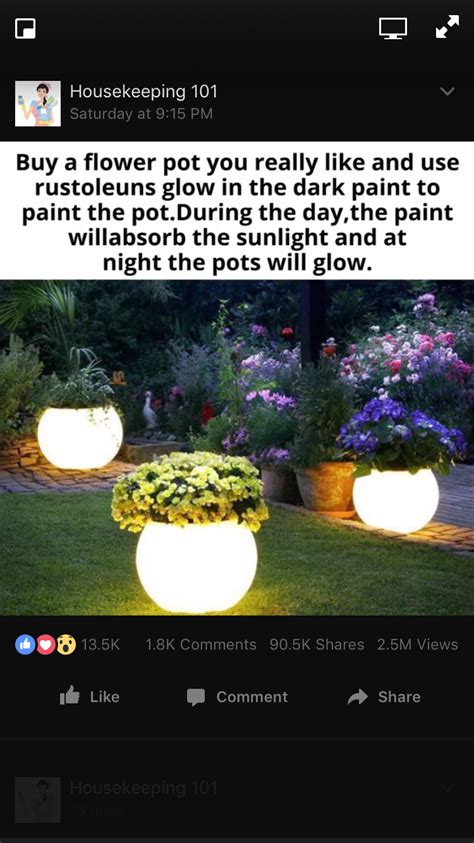 Glow in the dark flower pots | Glow pots, Front yard landscaping design ...