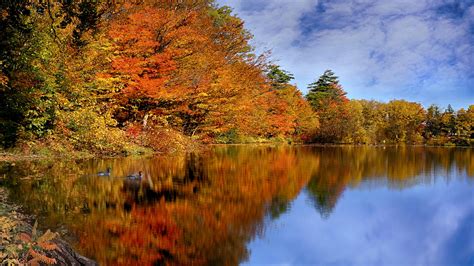 Reflection Of Trees And Cloudy Blue Sky On River Canada During Fall HD Nature Wallpapers | HD ...